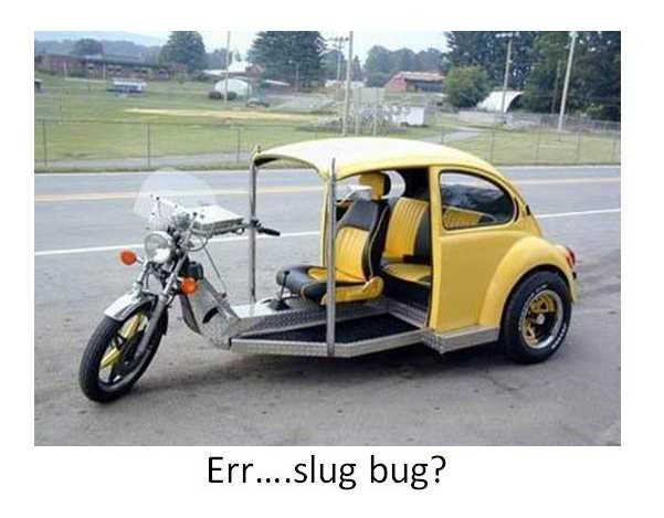 Slug Bug