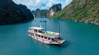 arcady-cruise-tour-vinh-lan-ha-1-ngay-tu-ha-noi