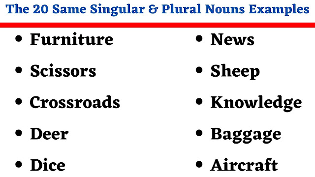 The 20 Same Singular and Plural Nouns Examples - English Seeker