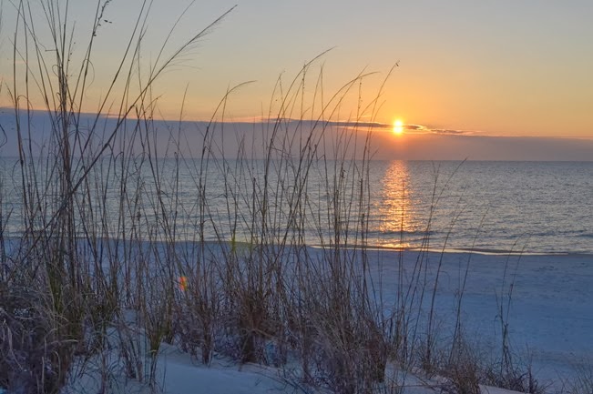 St Joe SP_049