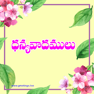 Thank you in Telugu with flowers frames