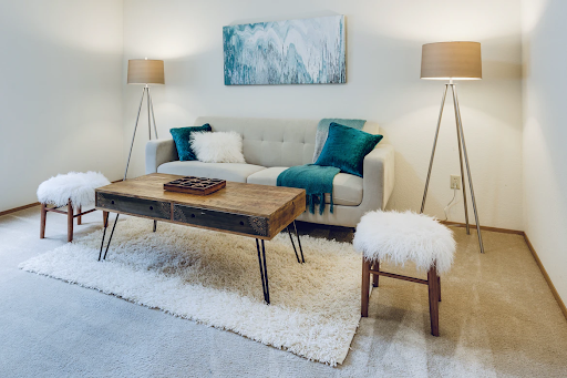 carpet living room ideas