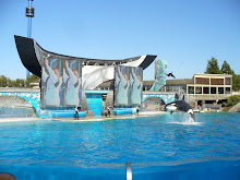 The Shamu Show.