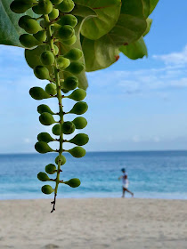 Grand Anse Beach Grenada