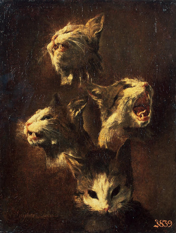 Study of a Cat's Head by Frans Snyders - Animal Paintings from Hermitage Museum