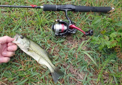 釣れたバスとタックル