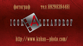 Alexandrof Igor-Ваш свадебный фотограф в Краснодаре, контактный телефон : 89298394481