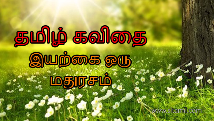 தமிழ் கவிதை இயற்கை ஒரு மதுரசம்