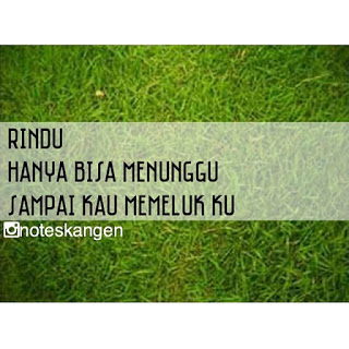  Gambar  DP BBM Kata Kata  Bijak dan Romantis  LDR 