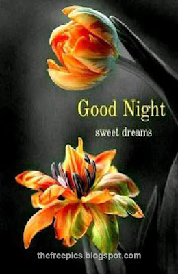 Sweet Good Night photos wish