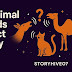 Do Animal Sounds Predict Money Loss? | StoryHive07