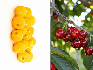 Deceptive Delights: Top 21 Fruits That Look Alike but Taste Uniquely Different"