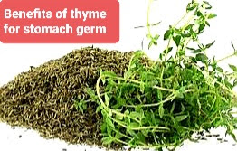 Benefits of thyme for stomach germ   فوائد الزعتر لجرثومة المعدة