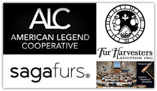 Пушные аукционы-совместная коллекция меха Sagafurs, American Legend и FurHarvesters