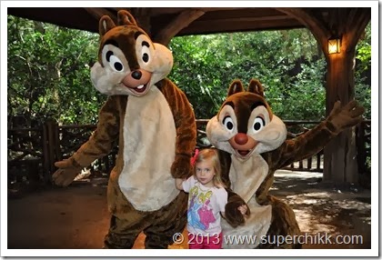 wdw20132555491742_6845334902