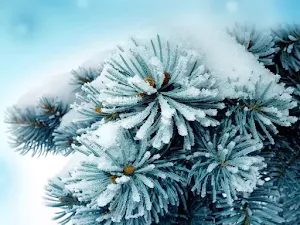 Sfondo-invernale-desktop-39