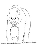 Free Bear Printable Coloring Pages