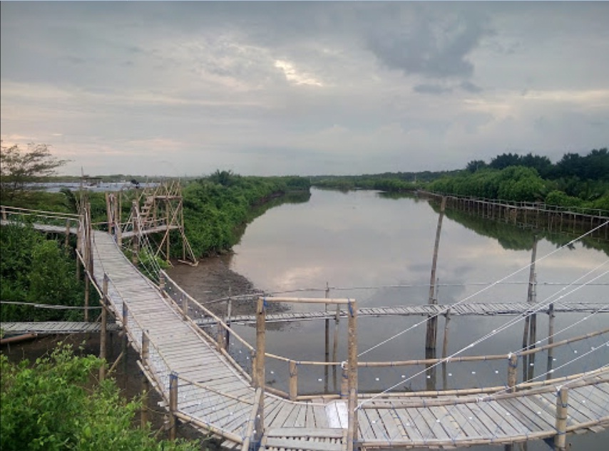 ALAMAT TEMPAT WISATA HUTAN MANGROVE  ALAMAT DAN TEMPAT