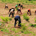 How Taraba Community Mobilised, Rescued 15 Kidnapped Farmers
