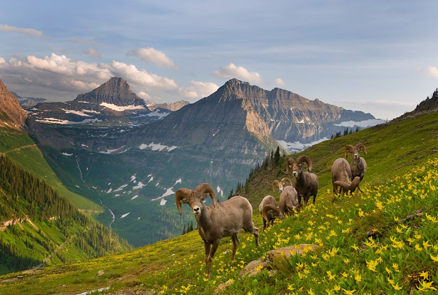 20 Imagenes de la Naturaleza (Sorprendente y Hermona)