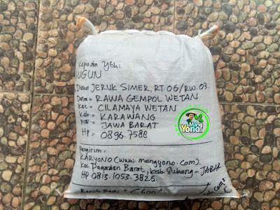 Benih Padi Pesanan  GUGUN Karawang, Jabar  Benih Sesudah di Packing