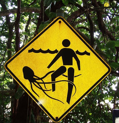 Jellyfish Stinger Danger Sign, Queensland, Australia