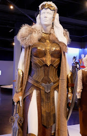 Wonder Woman Hippolyta costume