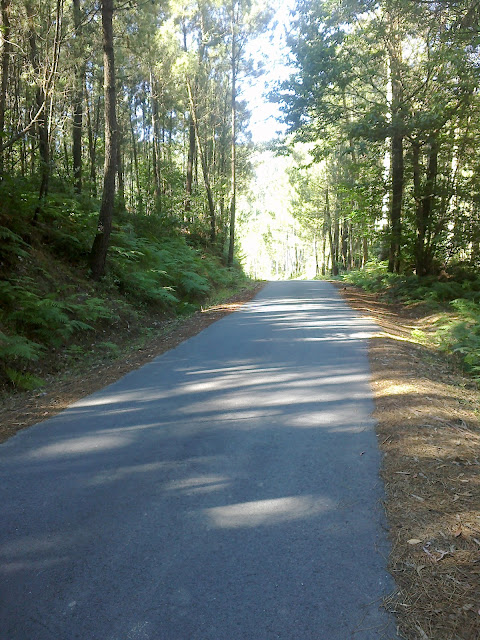 carretera en la pista de senderismo san lois noia