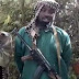 Boko Haram Ambush and Kills Another 24