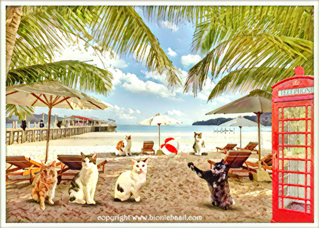 The B Teams Beach Selfie ©BionicBasil® Caturday Art Hop