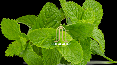 تنشيط الدماغ