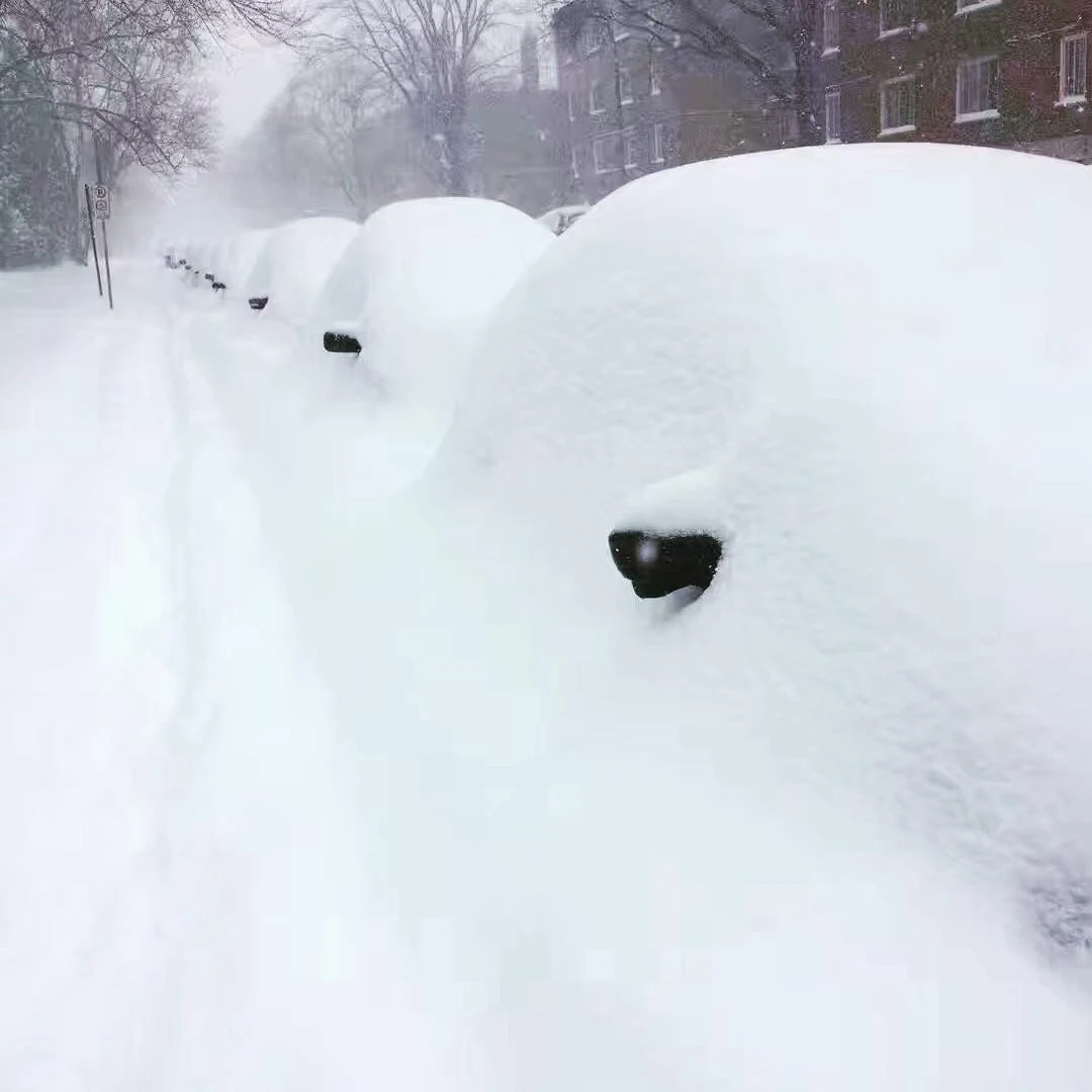 Abnormal weather in Canada left thousands of people without electricity (1)