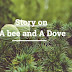 Story on  A bee and a dove