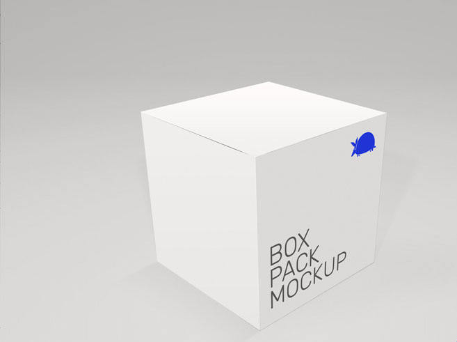 Nice Box Mockup PSD