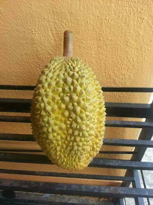 Curhatan Pria Saat Beli Durian Rp 15 Ribu Ini Viral, Saat Dibelah Isinya Bikin Nyesek