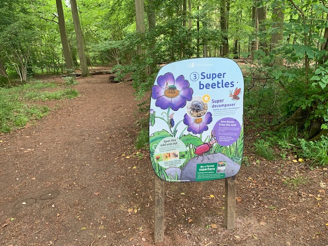 Woodland, with a sign about Super-beetles displaying facts and information