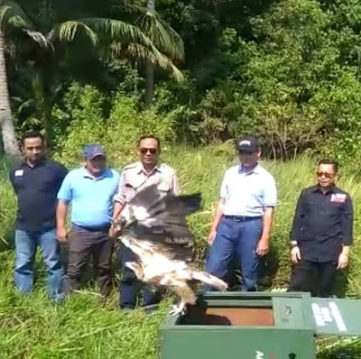 tumbuhan dan satwa liar dilindungi