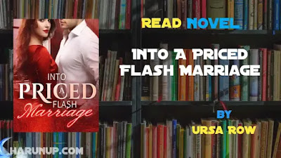 Into A Priced Flash Marriage Novel