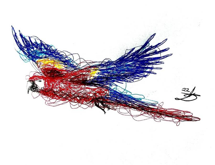 04-Parrot-flying-Scribble-Drawings-Drawer-Dee-www-designstack-co