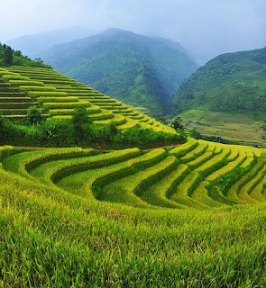 Vietnam trekking tours