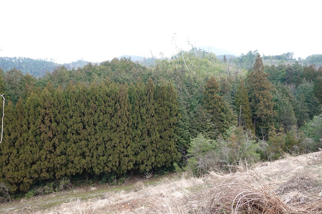 鳥取県米子市淀江町本宮 稲吉本宮線の農道からの眺め