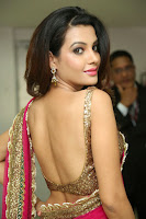 Deeksha Panth Sexy Pic in Pink Half-Saree