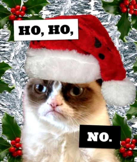 Grumpy Cat Merry Christmas
