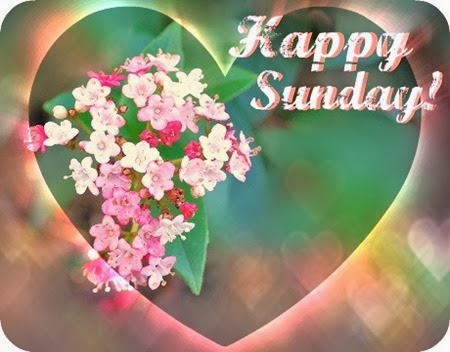 happy sunday 009u7