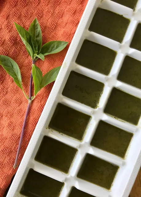 Thai basil puree in an ice cube tray.