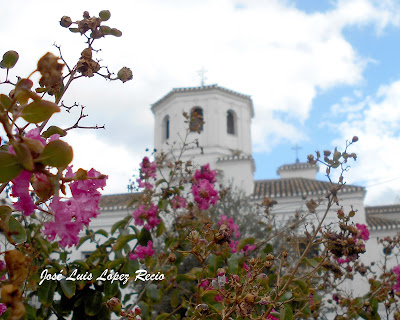 quotes, reflexiones, Santafe, Granada, vida, Ayer me contaron las flores que vida y belleza van de la mano, José Luis López Recio, joselop44, sueño