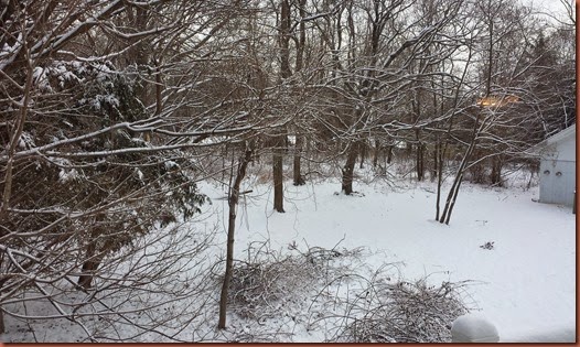 20150127_091843