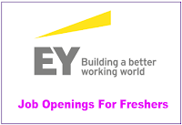 EY Freshers Recruitment 2023, EY Recruitment Process 2023, EY Career, IT Analyst Jobs, EY Recruitment