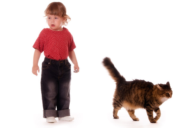 A cat choose to walk away from a small child