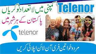 Telenor Online Jobs 2022 - Jobs in Telenor Franchise 2022 - Jobs in Telenor Call Center 2022 - Telenor Careers 2022 - www.telenor.com Jobs 2022